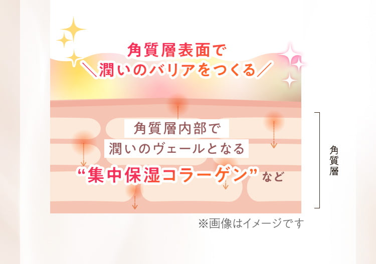角質層に浸透潤いを保つ